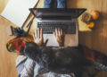 Tips For Working from Home From The Foundry Network