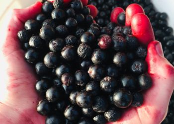 Vermont Farmer Creates A New Drink Category With Roots In The Past